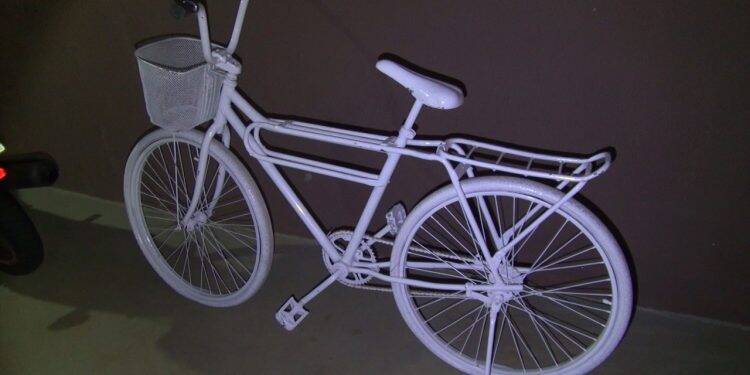 Homem é preso furtando bicicleta de decoração