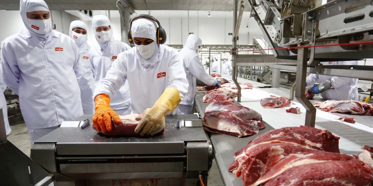 Grupo investe R$ 170 milhões em centro de processamento de alimentos no Paraná
