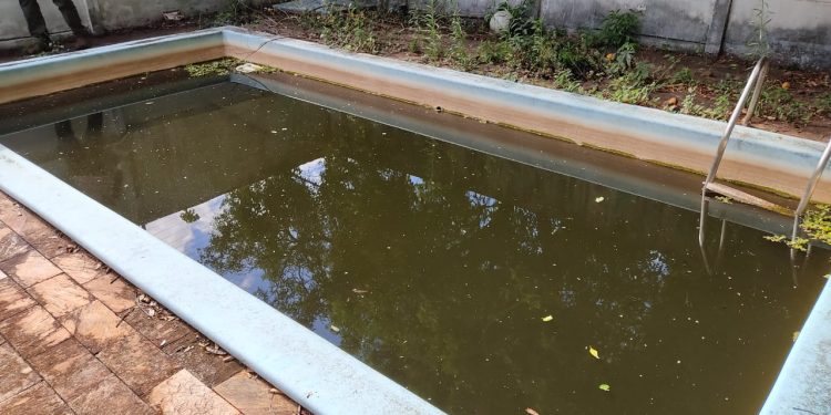 Piscinas abandonadas viram criadouras de mosquitos em Foz do Iguaçu