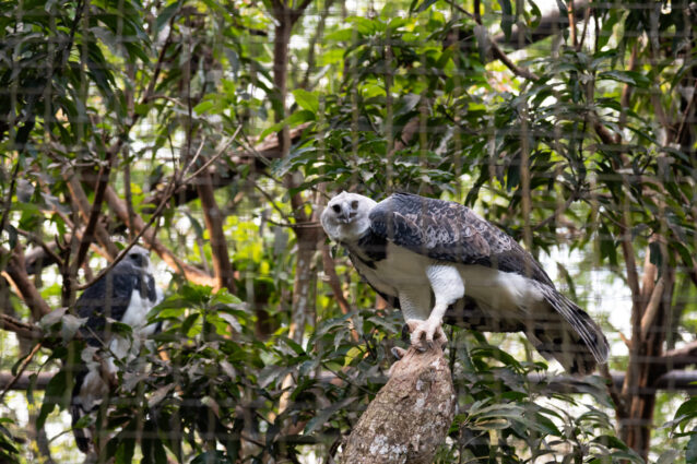 Foto: Rubens Fraulini / Itaipu Binacional